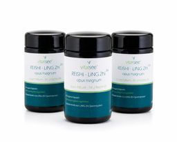 Vitalsee REISHI - LING Zhi 350 opus magnum Bonus Packung