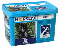 DERBY Horslyx Mint