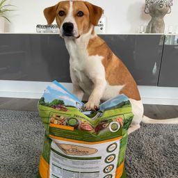 Bellfor Trockenfutter mit Weidelamm und Wildkaninchen - Heide-Schmaus