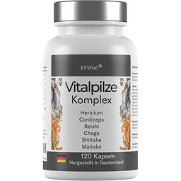 EXVital® Vitalpilze Komplex- Hericium, Cordyceps, Reishi, Chaga, Shiitake & Maitake