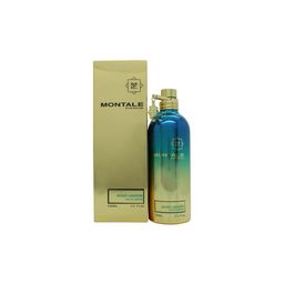 Montale Aoud Lagoon Eau de Parfum  Spray