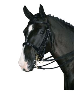 Hubertus Classic Kandarenzaum