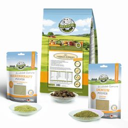 Bellfor Sparset Nr. 7 - Landgut-Schmaus + Nierenkraft Pulver + Immun Pulver