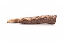 mascota vital - Hirsch-Geweihstücke