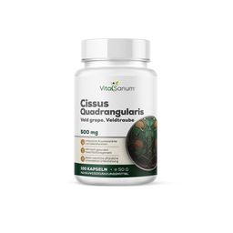 VitaSanum®- Cissus Quadrangularis (Veldtraube) 500 mg