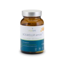 Vitalsee BOSWELLIA serrata 400 Extrakt