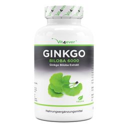 Vit4ever Ginkgo Biloba 6000 mg