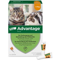advantage® für kleine Katzen bis 4 kg