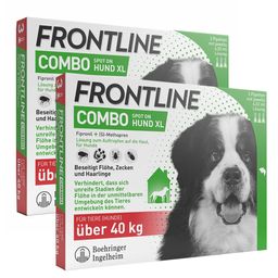 FRONTLINE COMBO® Spot on gegen Flöhe und Zecken Hund XL über 40kg