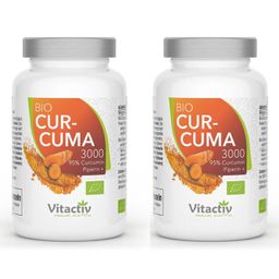 Vitactiv Curcuma 3000 - Bio