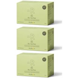 BioBloom Bio Hanftee Teebox - relax