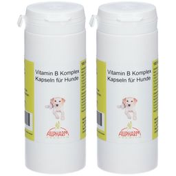 ALLPHARM Vitamin B Komplex