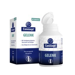 Canosept® Gelenk-Tabletten