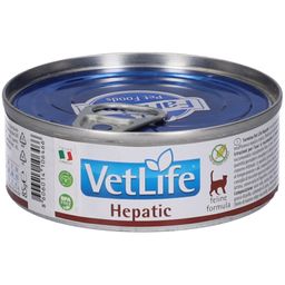 Nassfutter Farmina VetLife Hepatic - Katze Adult