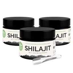 VitalizeNature Shilajit + Ashwagandha – Laborgeprüft vom Prüfengel Institut