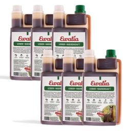 EWALIA Leber-Nierensaft für Pferde