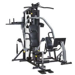 Horizon Fitness Torus 5 Kraftstation