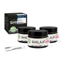 VitalizeNature Shilajit mit Ashwagandha