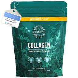 Collagen Pulver von Primal Harvest®
