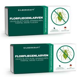 SILBERKRAFT Florfliegenlarven