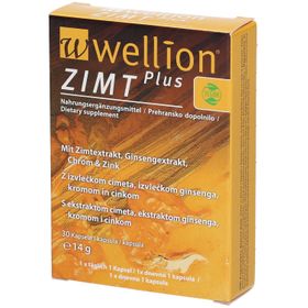 wellion Zimt Plus