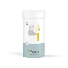Schüßler-Salze 1 Calcium fluoratum D12 Tabletten