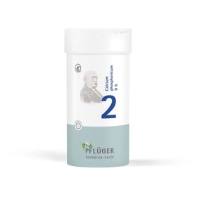 Schüßler-Salze 2 Calcium phosphoricum D6 Tabletten