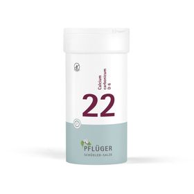 Schüßler-Salze 22 Calcium carbonicum D6 Tabletten