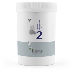Schüßler-Salze 2 Calcium phosphoricum D6 Tabletten