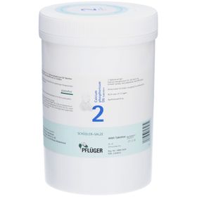 Schüßler-Salze 2 Calcium phosphoricum D6 Tabletten