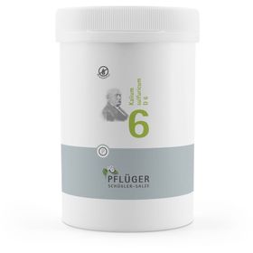 Schüßler-Salze 6 Kalium sulfuricum D6 Tabletten