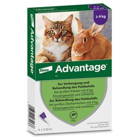 advantage® für große Katzen über 4 kg