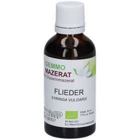 PhytoAustria Gemmo Mazerat Flieder Bio Glycerinmazerat
