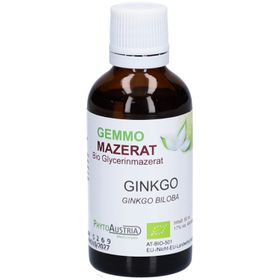 PhytoAustria Gemmo Mazerat Ginkgo Bio Glycerinmazerat