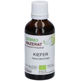 PhytoAustria Gemmo Mazerat Kiefer Bio Glycerinmazerat
