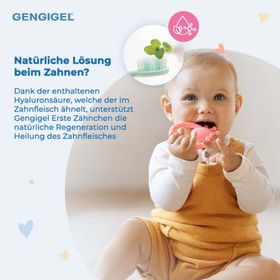 GENGIGEL® Zahnfleisch-Gel Erste Zähnchen