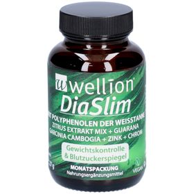 Wellion DiaSlim Kapseln – Gewichtsmanagement & Blutzuckerkontrolle