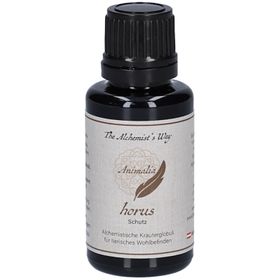 The Alchemist`s Way horus – Schutz