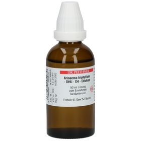 Arisaema triphylium D4 DHU