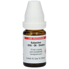 DR. REITHNER Kalanchoe - DHU - D6 - Dilution
