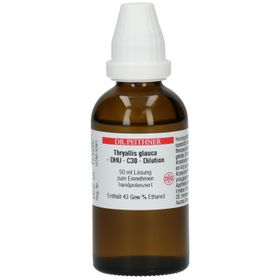 DR. REiTHNER Thryallis glauca - DHU - C30 - Dilution