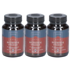 TERRANOVA Belebende Synergie