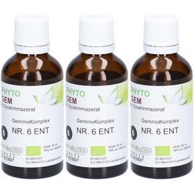 PHYTOGEM Bio Glycerinmazerat NR. 6 ENT