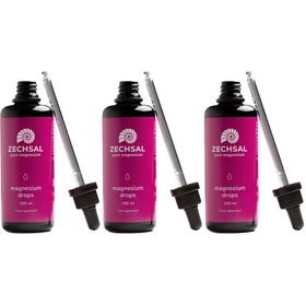 ZECHSAL magnesium drops