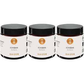KAIZEN® ICHIBAN Bio-Matcha Tee