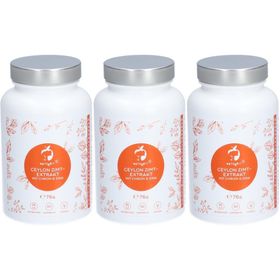 NATURVIT® Ceylon Zimt Extrakt