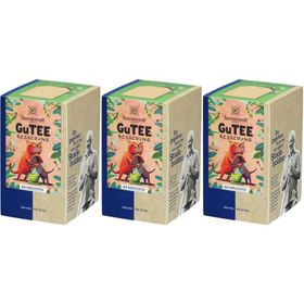SonnentoR® GuTEE Besserung