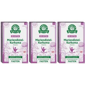 DR. KOTTAS Mariendistel-Kurkuma Kräutertee