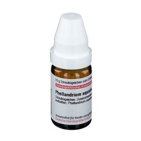 DHU Phellandrium Aquaticum C30