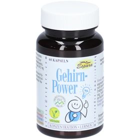 Macht des Gehirns